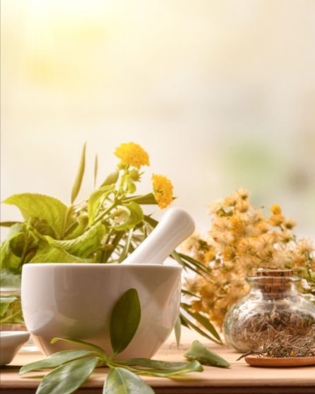 Herbal Ingredients On a Table